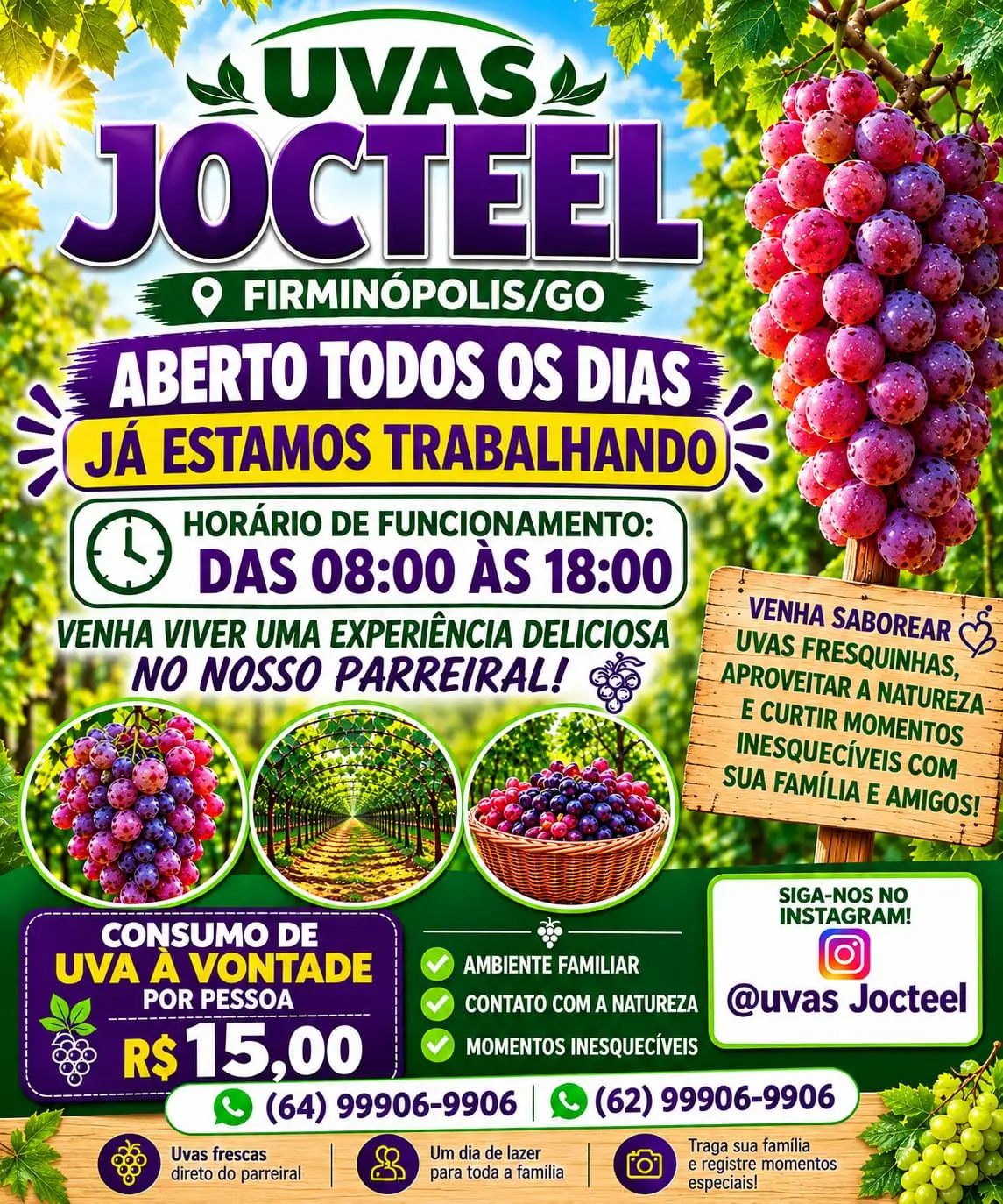 Cartaz Oficial Safra 2026 - Uvas Jocteel